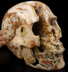 Lifesized 6.5" Lace Jasper Geode Carved Crystal Skull, Realistic, Crystal Healing