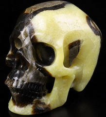 Huge 5.0" Dragon Septarian Stone Carved Crystal Skull,Super Realistic, Crystal Healing