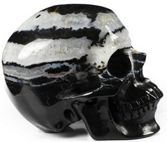 Huge 5.0" Black Zebra Agate Carved Crystal Skull,Super Realistic, Crystal Healing