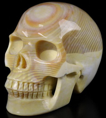 5.0" Gary Zebra Jasper Carved Crystal Skull, Realistic, Crystal Healing