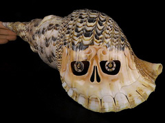 Giant 14.6" Shell Carved Crystal Skull, Crystal Healing