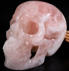 Titan 13.3" Rose Quartz Carved Crystal Skull,Super Realistic, Crystal Healing