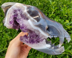 Giant 9.0" Agate Amethyst Geode Carved Crystal Wolf Skull Sculpture, Crystal Healing