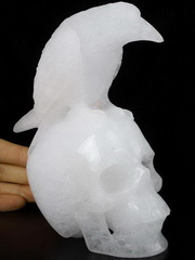 6.0" Angolan Quartz Rock Crystal Carved Crystal Skull with Raven Standing Sculpture, Crystal Healing