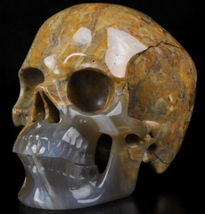 5.0" Dinosaur Egg Agate Carved Crystal Skull,Super Realistic, Crystal Healing