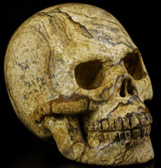 2.0" Picture Jasper Carved Crystal Skull, Realistic, Crystal Healing