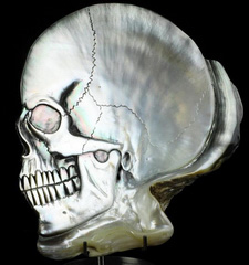 5.1" Shell Carved Crystal Skull, Crystal Healing