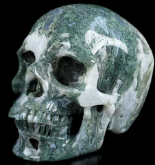 Huge 5.0" Green Moss Agate Carved Crystal Skull,Super Realistic, Crystal Healing