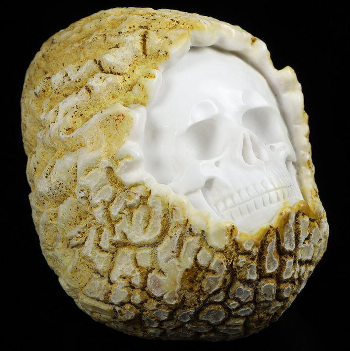 3.5" White Jasper Hand Carved Crystal Skull Fine Art Sculpture, Crystal Healing