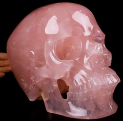 Top Quality 7.9" Rose Quartz Carved Crystal Skull,Super Realistic, Crystal Healing