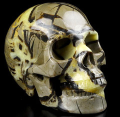 Huge 5.0" Dragon Septarian Stone Carved Crystal Skull, Realistic, Crystal Healing
