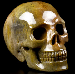 2.0" Petrified Wood Carved Crystal Skull, Realistic, Crystal Healing