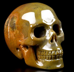2.0" Petrified Wood Carved Crystal Skull, Realistic, Crystal Healing