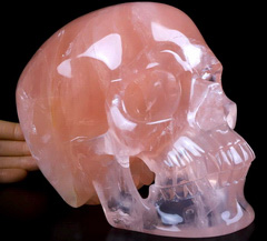 Lifesized Top Quality 7.2" Rose Quartz Carved Crystal Skull,Super Realistic, Crystal Healing