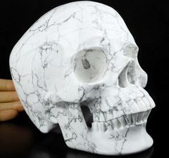 Lifesized 6.7" Howlite Carved Crystal Skull, Realistic, Crystal Healing