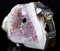 Amazing 7.7" Amethyst & Agate Carved Smilodon SABER-TOOTHED Tiger/Cat Skull, Crystal Healing