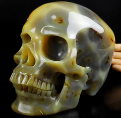 Gemstone Lifesized 6.7" Carnelian Carved Crystal Skull,Super Realistic, Crystal Healing