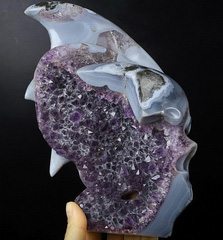 8.3" Amethyst & Agate Carved Crystal Skull with Wing, Crystal Healing