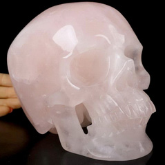 Lifesized 6.5