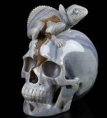 4.3" Gray & White Agate Geode Carved Crystal Skull with Chameleon, Crystal Healing
