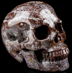 NEW RARE GEODE 5.0" Red Moss Agate Carved Crystal Skull, Realistic, Crystal Healing