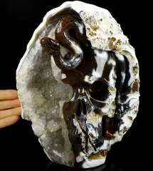 AMAZING GEODE 8.7" Carnelian Carved Crystal Skull with Snake, Crystal Healing
