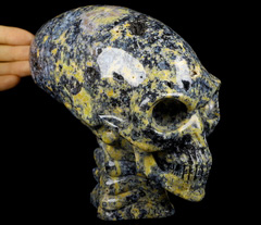 6.4" Blue Ocean Agate Carved Crystal Elongated Mayan Alien Skull & Spine, Crystal Healing