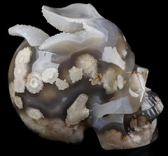 RARE GEODE 5.0" Sakura Agate Carved Crystal Skull, Realistic, Crystal Healing