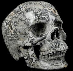Huge 5.1" Crocodile Jasper Carved Crystal Skull,Super Realistic, Crystal Healing