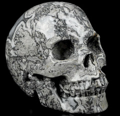 Huge 5.1" Crocodile Jasper Carved Crystal Skull, Realistic, Crystal Healing