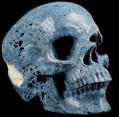 Huge 5.0" Blue Sponge Coral Carved Crystal Skull,Super Realistic, Crystal Healing