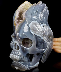 AWESOME 7.5" Agate Amethyst Geode Carved Crystal Skull & Wing,Super Realistic, Crystal Healing
