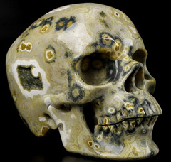 Huge 5.1" Ocean Jasper Carved Crystal Skull,Super Realistic, Crystal Healing