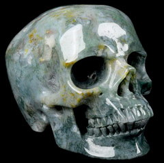 HUGE 5.0" Green Moss Agate Carved Crystal Skull,Super Realistic, Crystal Healing