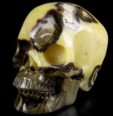 Huge 5.1" Dragon Septarian Stone Carved Crystal Skull,Super Realistic, Crystal Healing