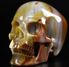 GEMSTONE Huge 5.0" Petrified Wood Carved Crystal Skull,Super Realistic, Crystal Healing