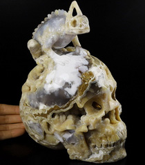 8.4" Indonesian Agate Geode Carved Crystal Skull With Chameleon Sculpture, Crystal Healing