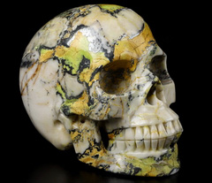 Huge 5.0" Hiso Jasper Carved Crystal Skull,Realistic, Crystal Healing
