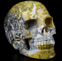 Huge 5.2" Yellow Ocean Agate Carved Crystal Skull,Realistic, Crystal Healing