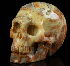 2.0" Crazy Lace Agate Carved Crystal Skull Realistic, Crystal Healing