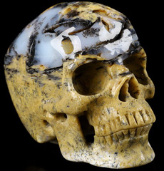 4.0" Sagenitic Agate Carved Crystal Skull,Super Realistic, Crystal Healing