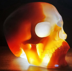 4.1" Premium Brazilian Agate Carved Crystal skull, Crystal Healing
