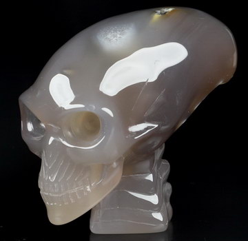3.5" Premium Brazilian Agate Carved Crystal skull, Crystal Healing