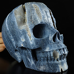 Lifesized 6.9" Blue Sponge Coral Carved Crystal Skull,Realistic, Crystal Healing