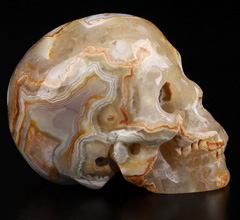GEMSTONE 1.9" Red Crazy Lace Agate Carved Crystal Skull,Realistic, Crystal Healing
