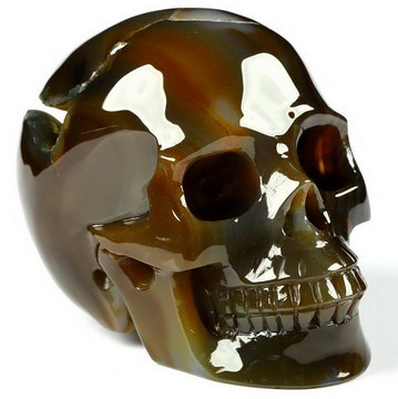 3.0" Premium Brazilian Agate Carved Crystal Skull, Crystal Healing