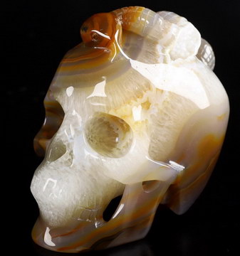 5.0" Premium Brazilian Agate Carved Crystal Skull & Snake, Crystal Healing