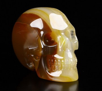 1.3" Agate Carved Crystal Skull,Realistic, Crystal Healing