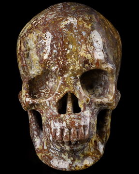 5.1" Red Moss Agate Carved Crystal Skull, Realistic