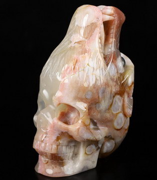 5.4" Sakura Agate Carved Crystal Skull & Boar, Crystal Healing